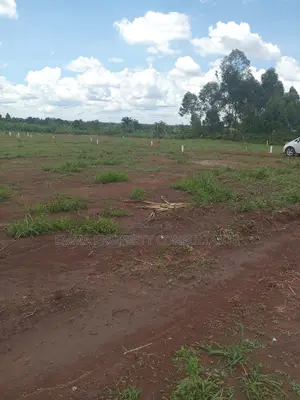 Janda Vumba Estate