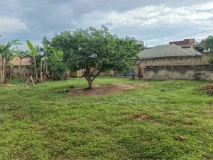 Namugongo 25decimals Titled. In Perimeter Wall. 50metres Off Tarmac