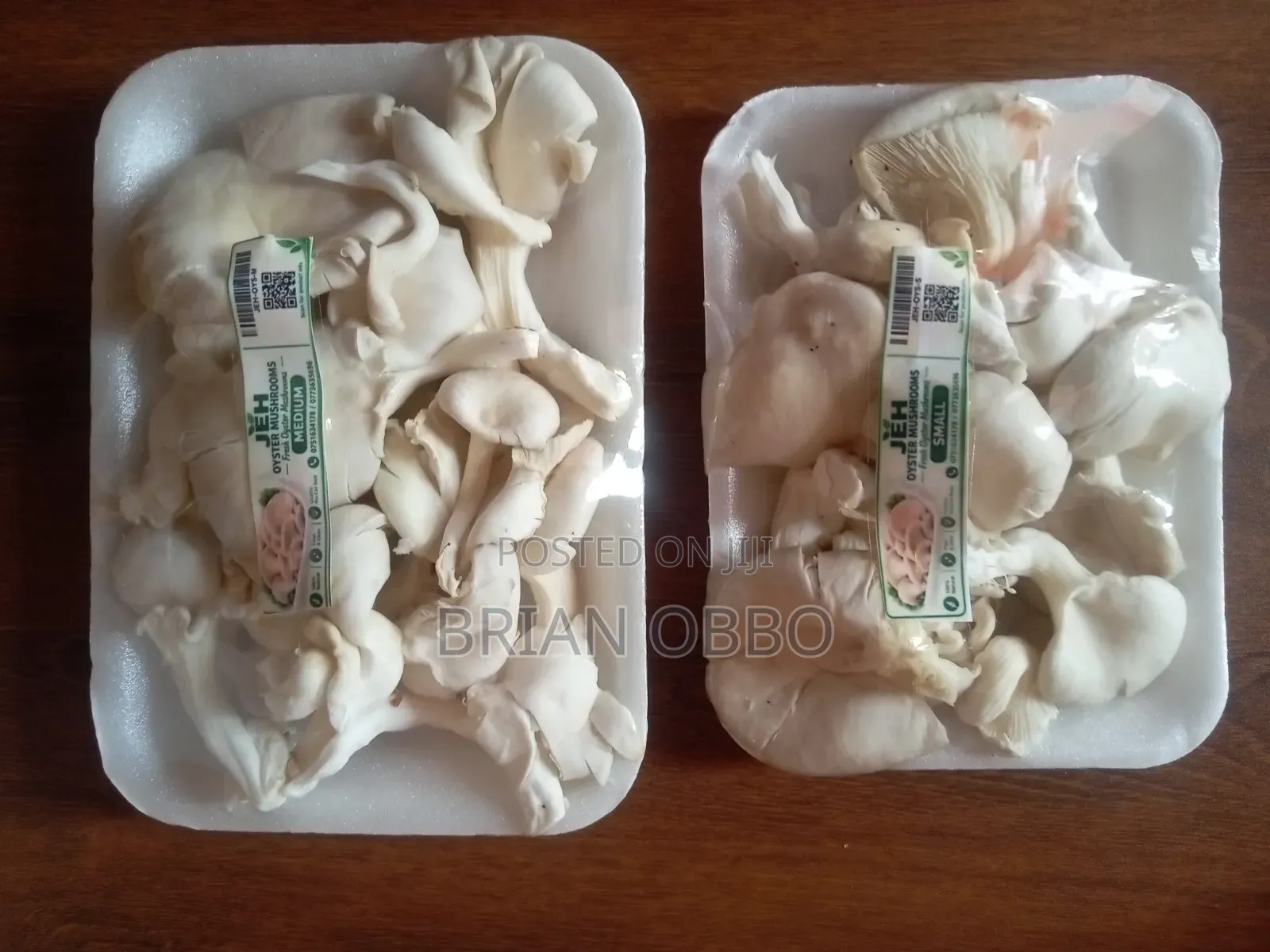 Oyster Mushrooms
