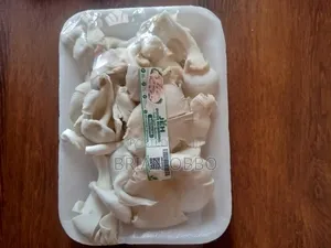 Oyster Mushrooms