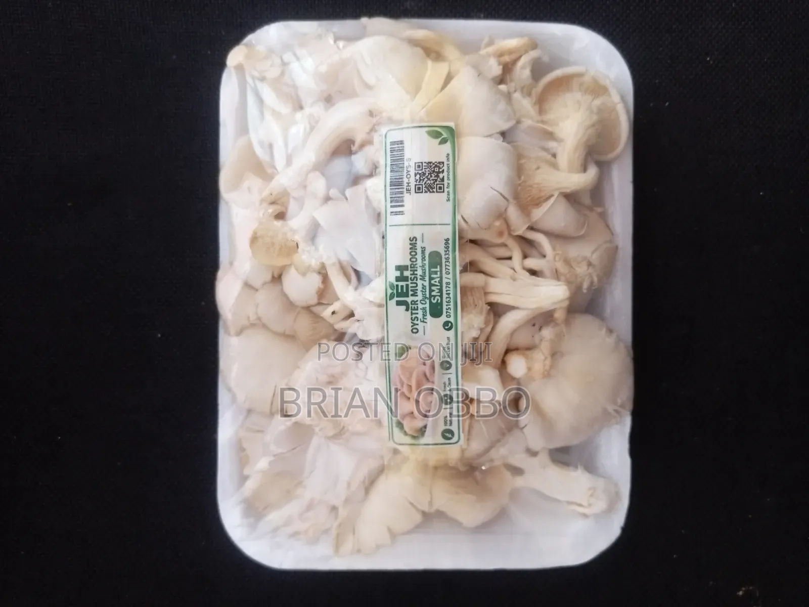 Oyster Mushrooms