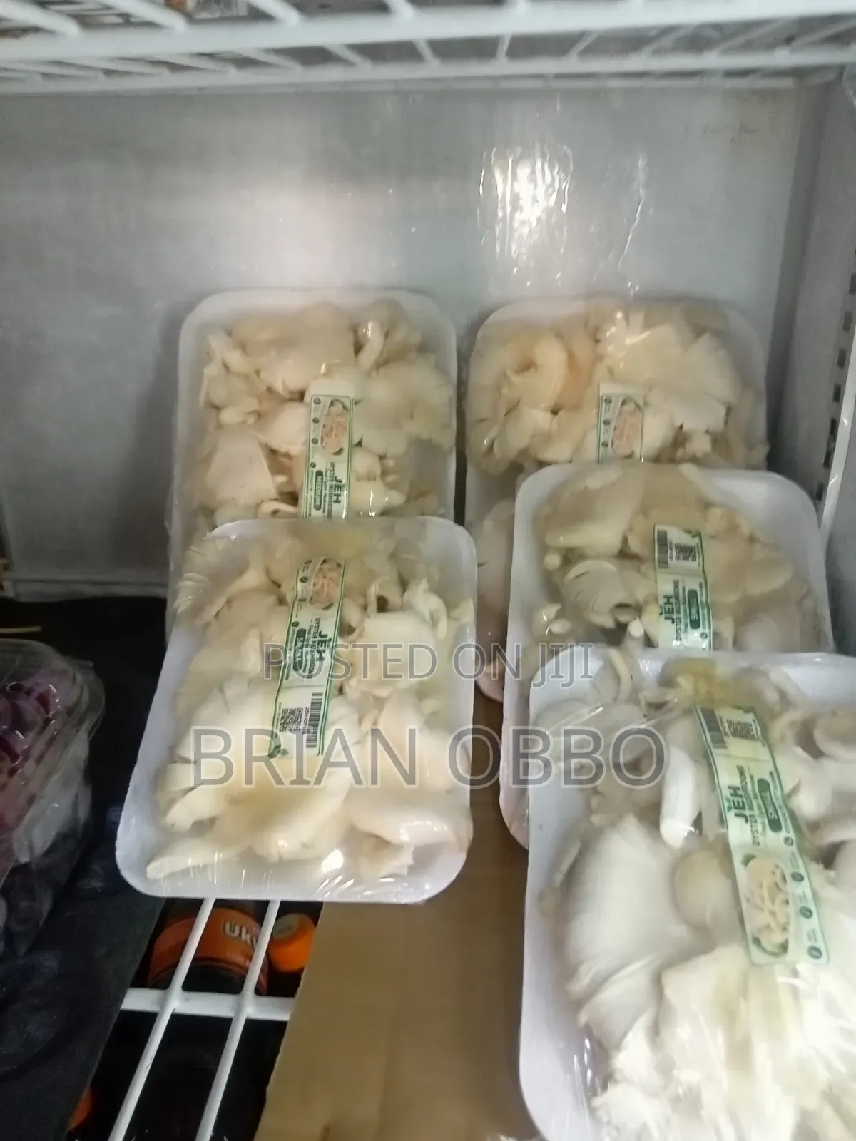 Oyster Mushrooms