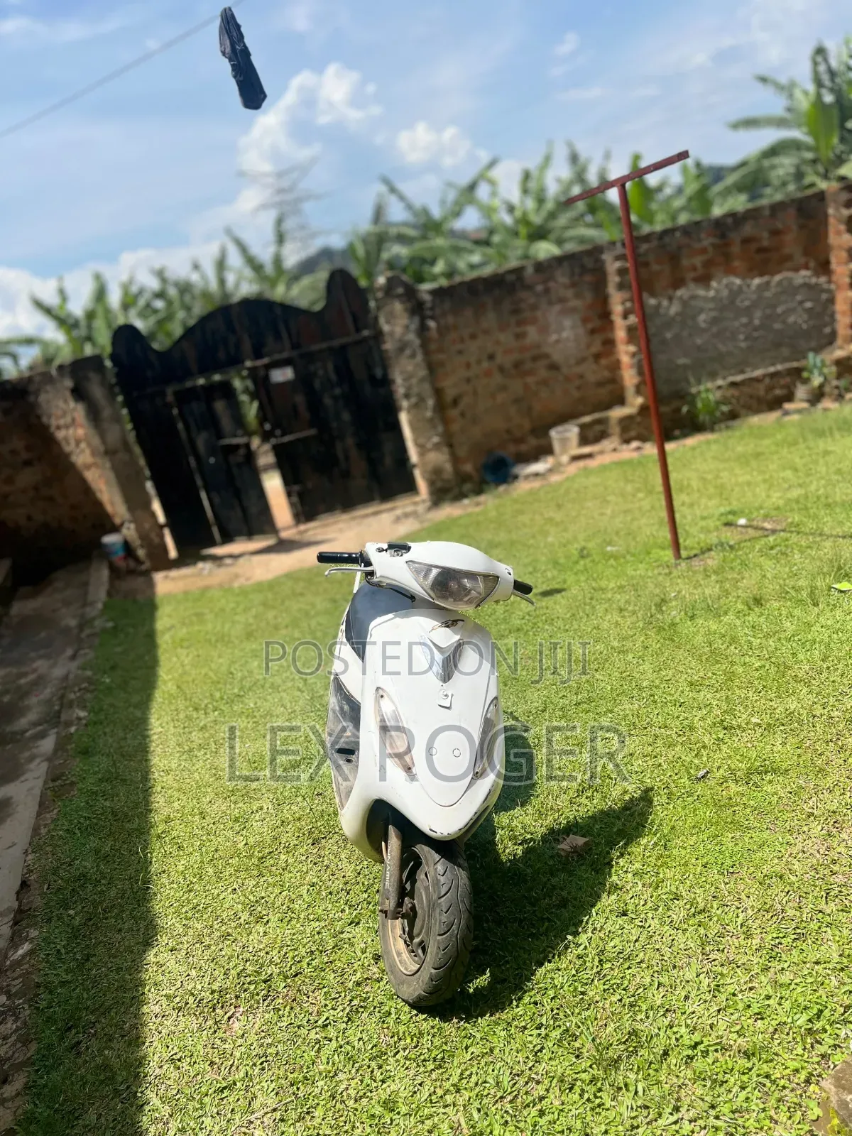 Yamaha Crux 1999 White