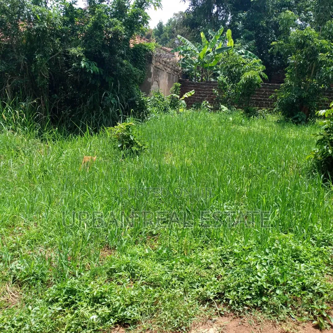 Namere Town Land for Sell