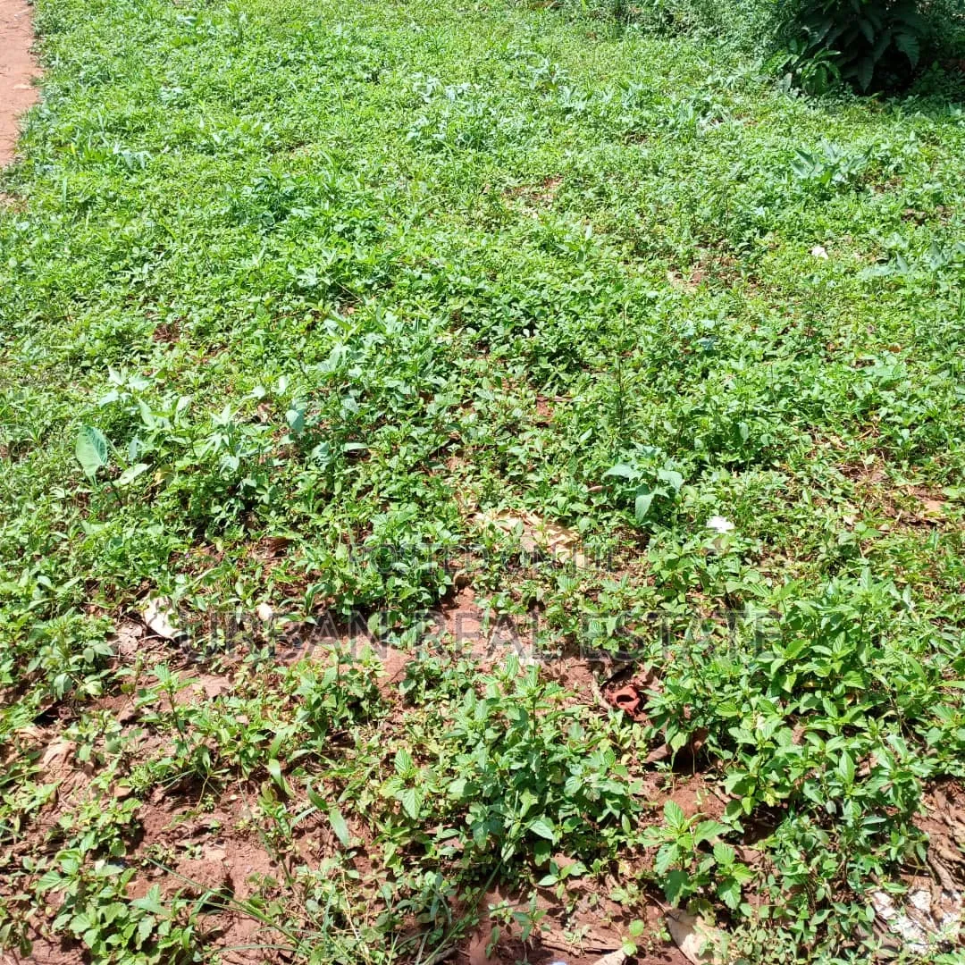 Namere Town Land for Sell