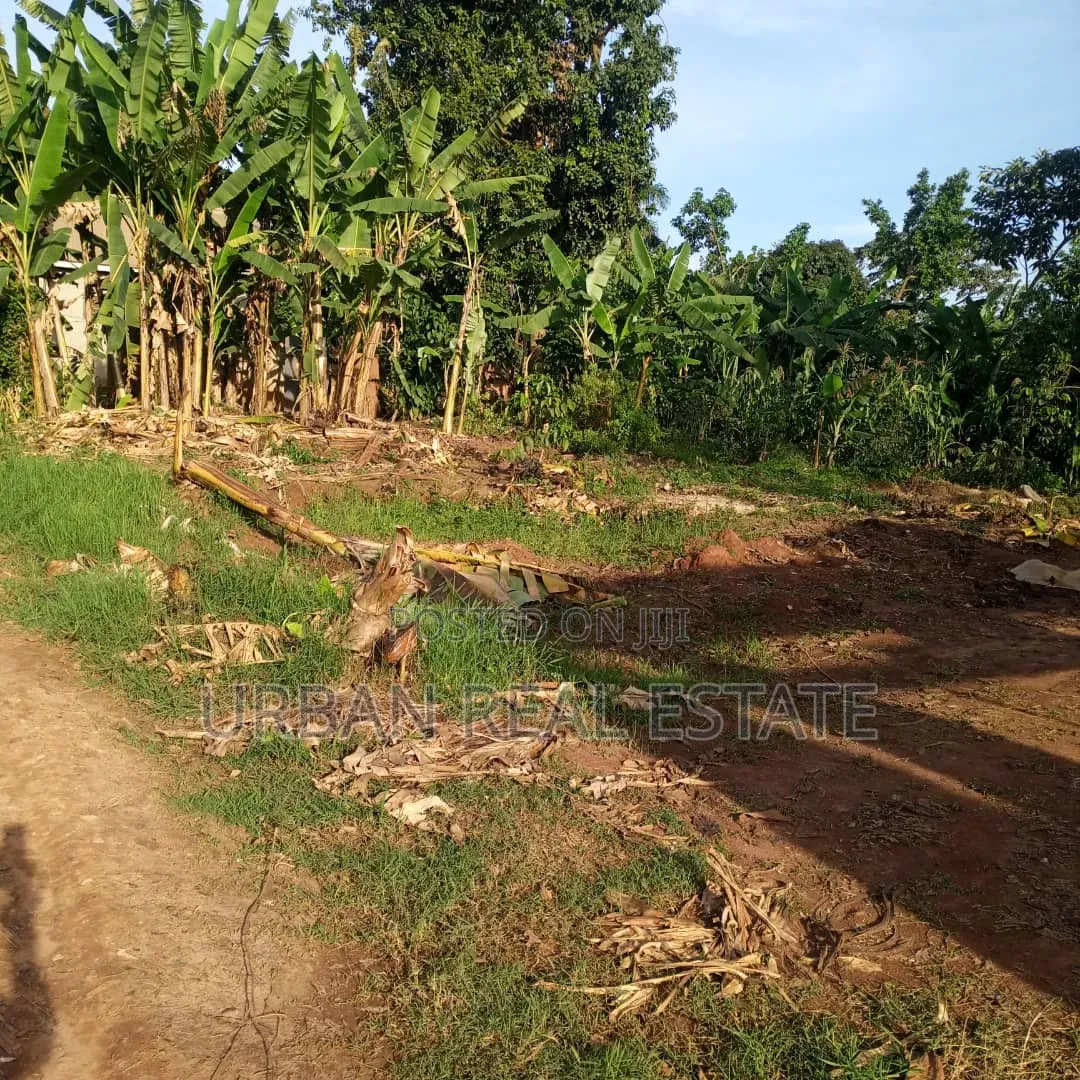 Land for Sale Kansangati Nangabo