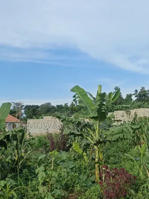 Plots Onon Sale at Gayaza Jiita Town