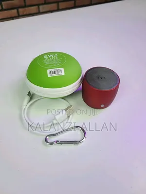 Ewa Superb Bass Speaker