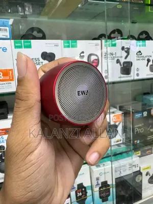 Mini Speaker With a Case