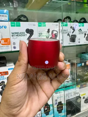 Mini Speaker With a Case