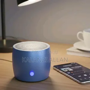 Mini Speaker With a Case
