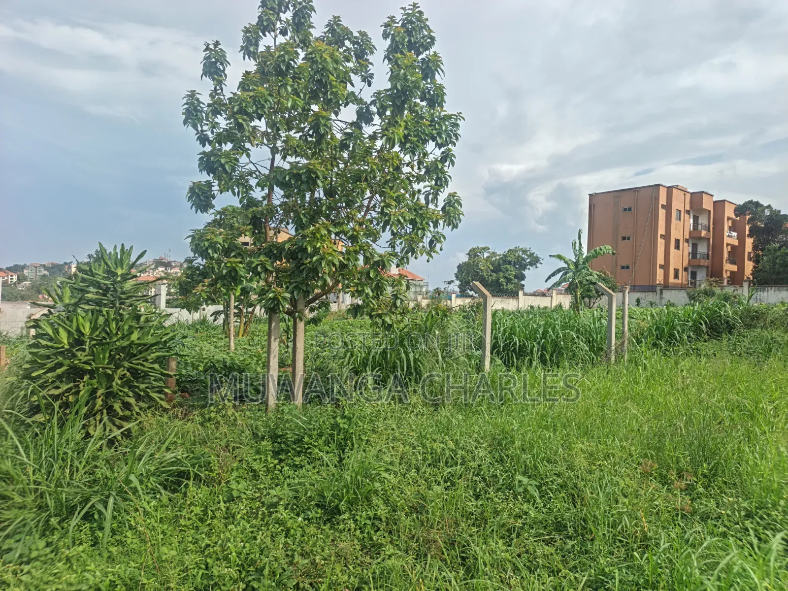 50decimals of Land on Sale at Kyanja Komamboga