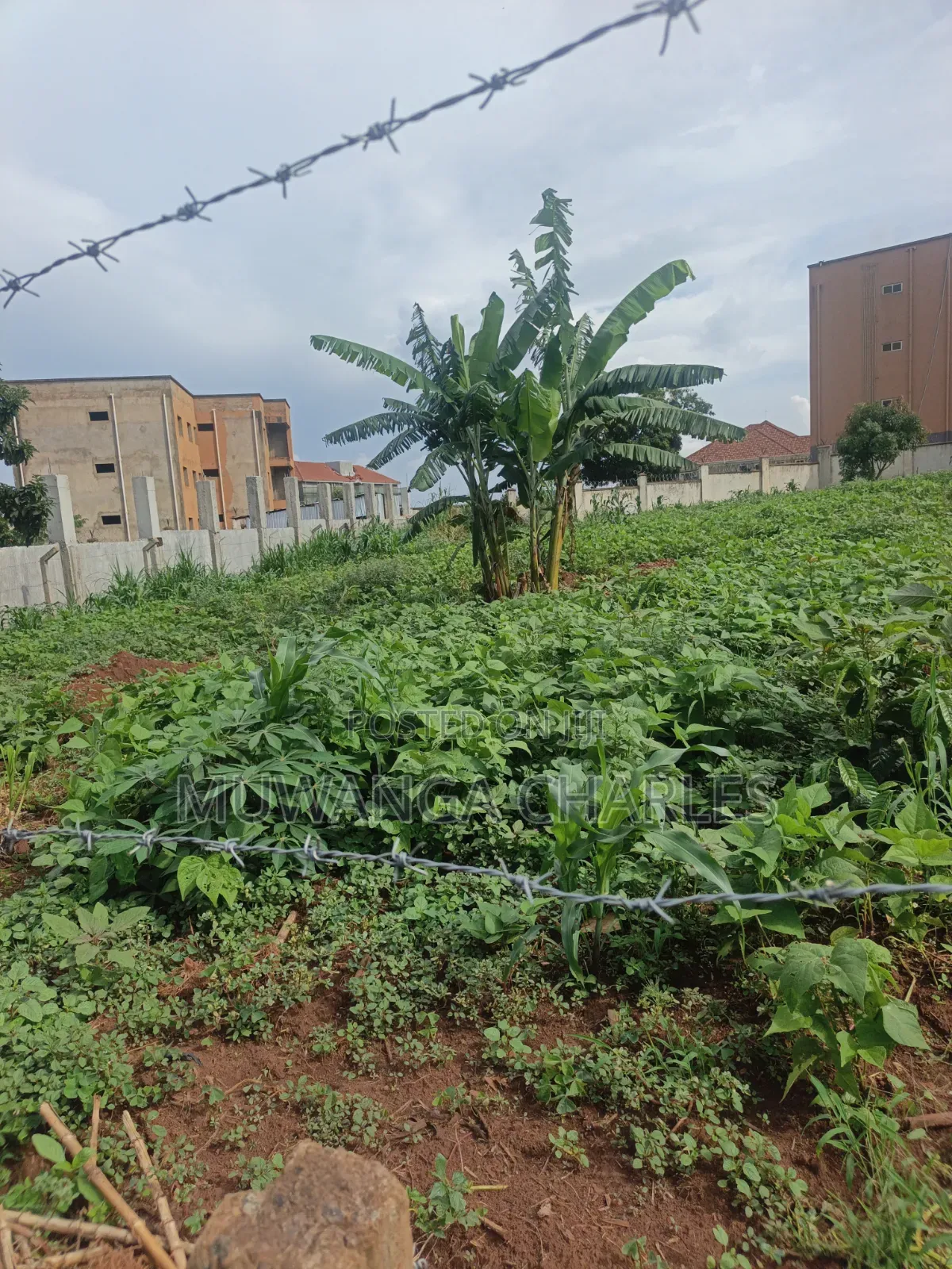 50decimals of Land on Sale at Kyanja Komamboga