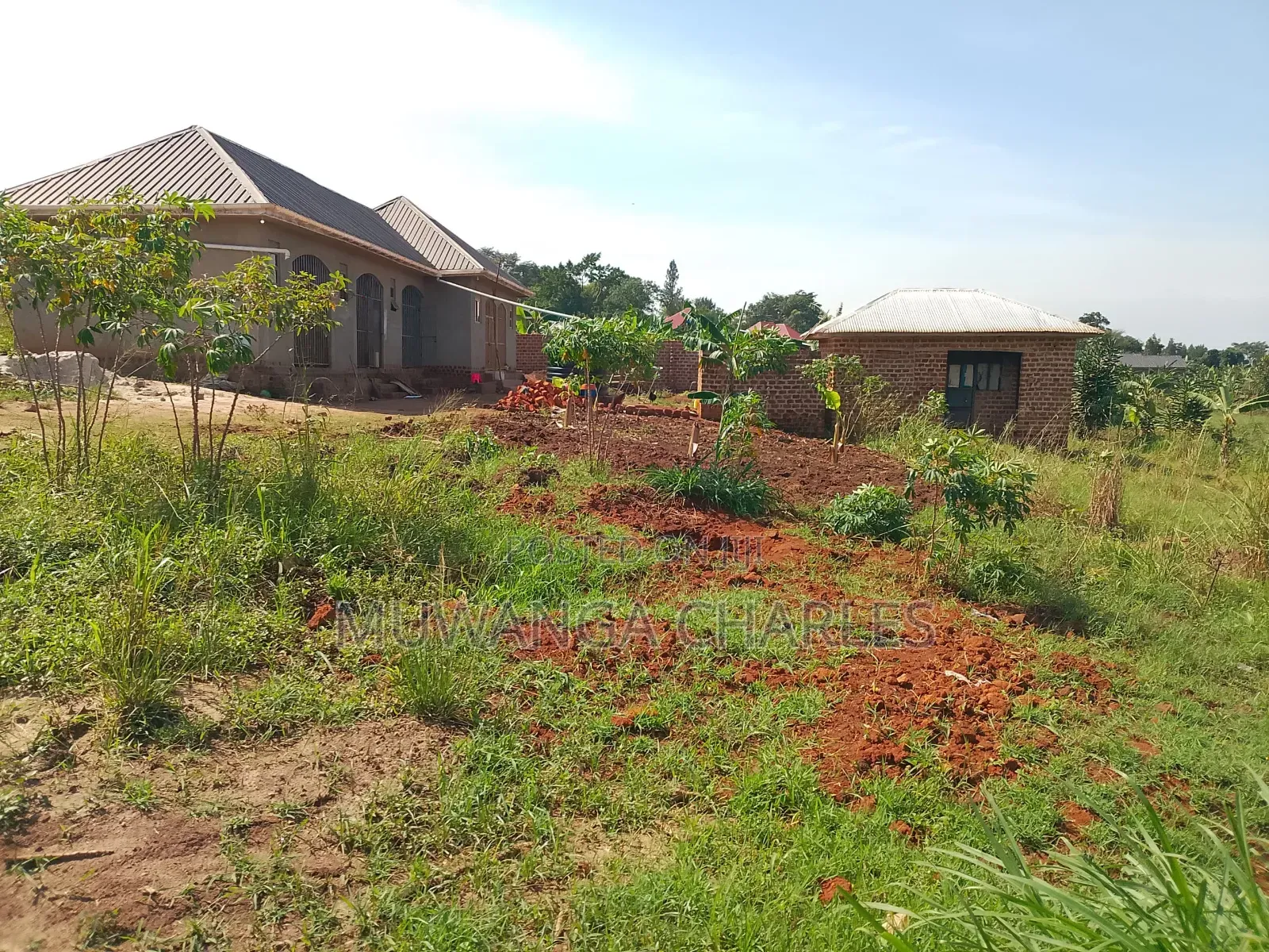 Plots on Sale Matugga Buwambo