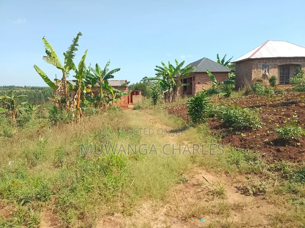 Plots on Sale Matugga Buwambo