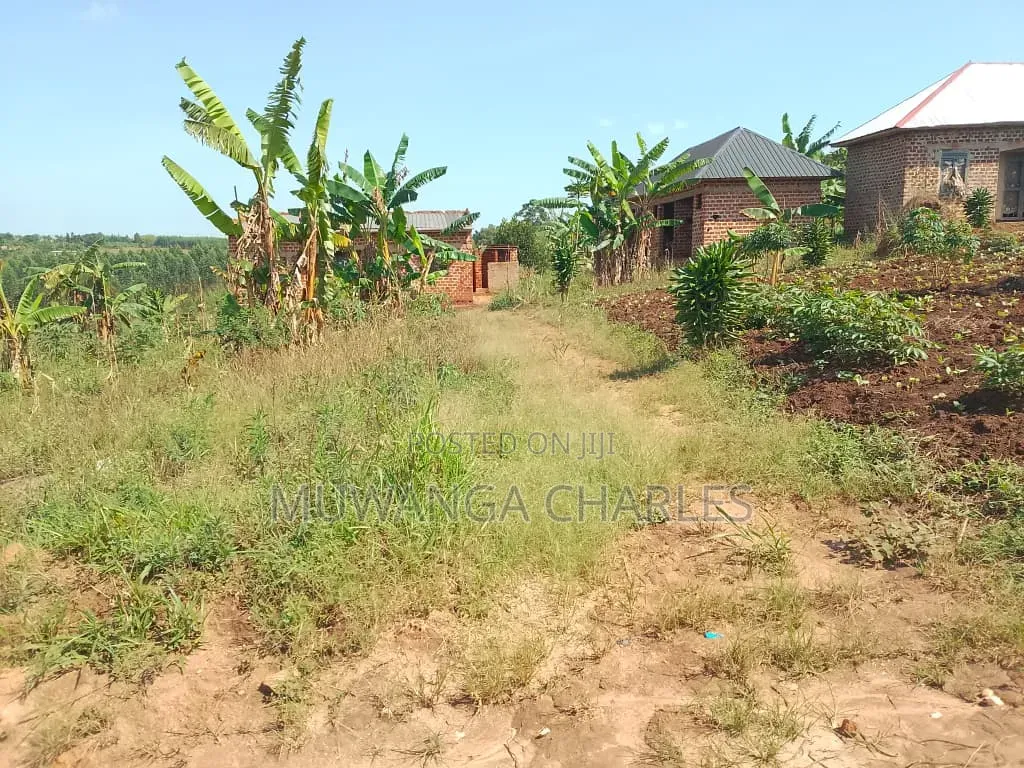 Plots on Sale Matugga Buwambo