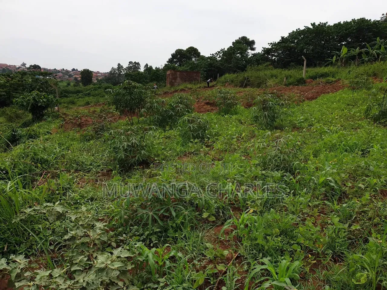 Plots on Sale at Gayaza Kayebe