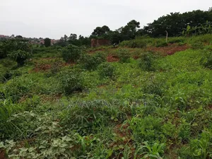 Plots on Sale at Gayaza Kayebe
