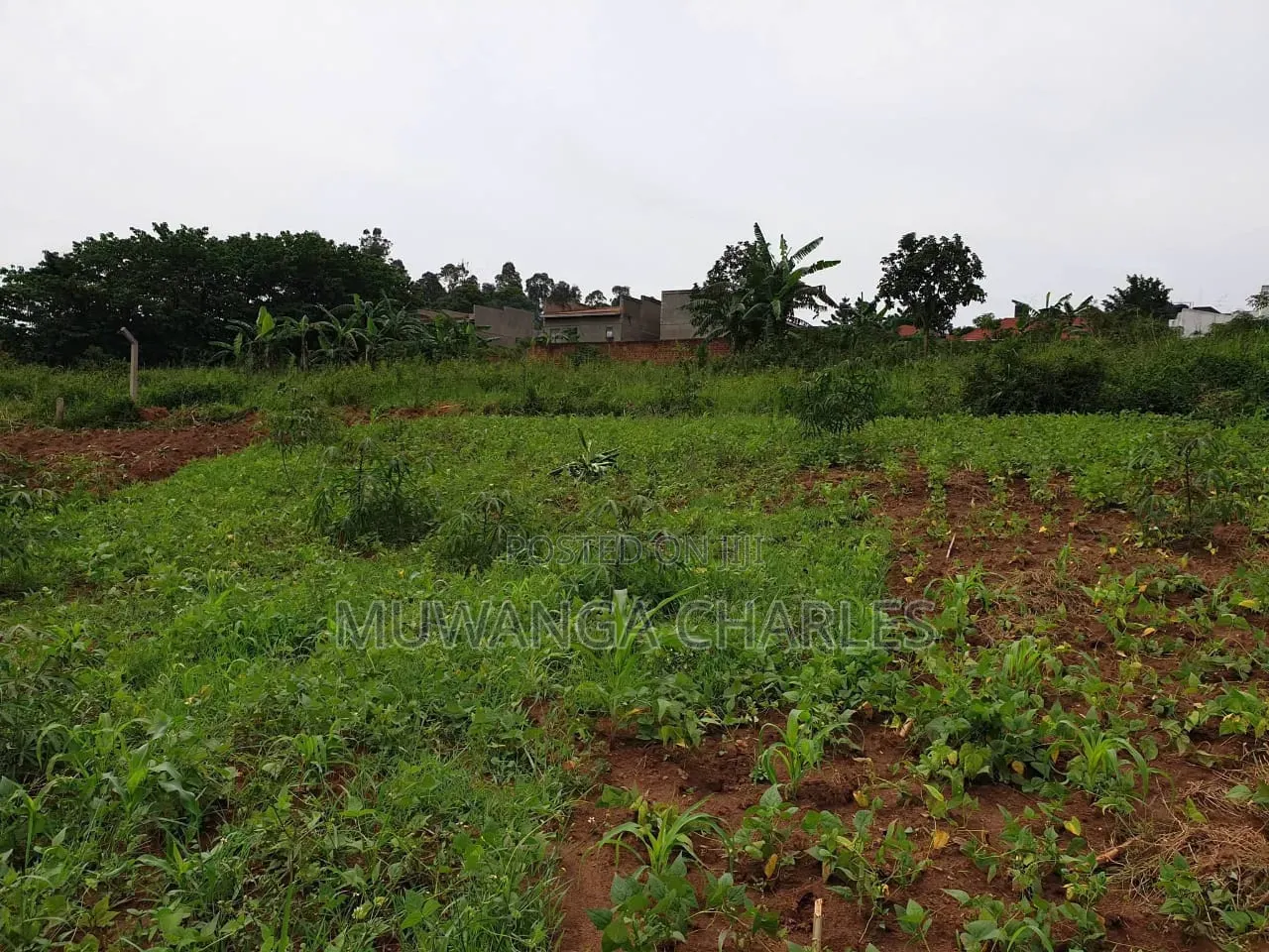 Plots on Sale at Gayaza Kayebe