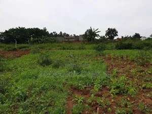 Plots on Sale at Gayaza Kayebe
