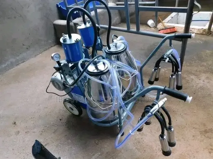 Double Bucket Milking Machines Commercial