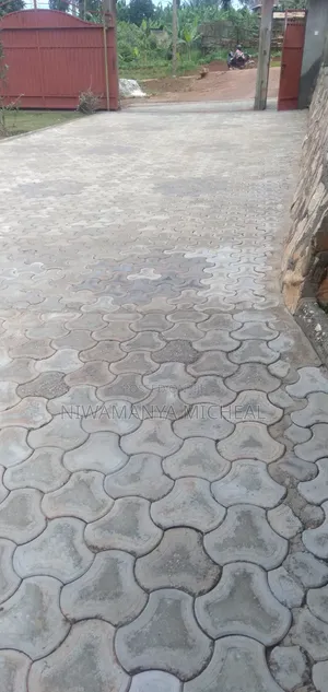 Paver Cleaning Services