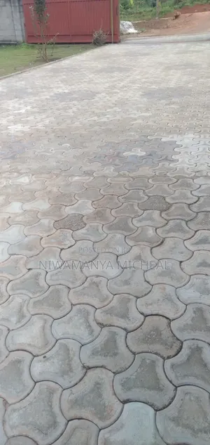 Paver Cleaning Services