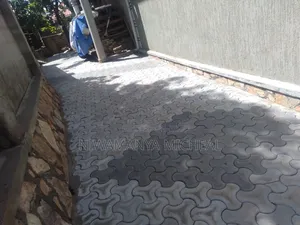 Paver Cleaning Services