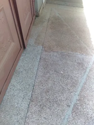 Paver Cleaning Services