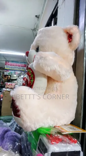 Sweet Teddy Bear Both Adults and Kids