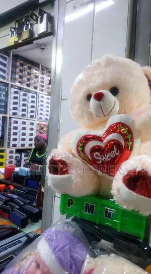 Sweet Teddy Bear Both Adults and Kids