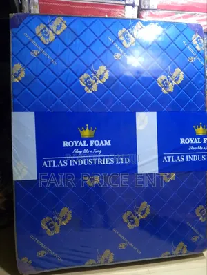 Royalfoam High Density.5*6*8inches.( Blue)