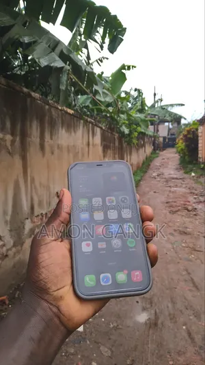 Apple iPhone 12 Pro Max 128 GB Black