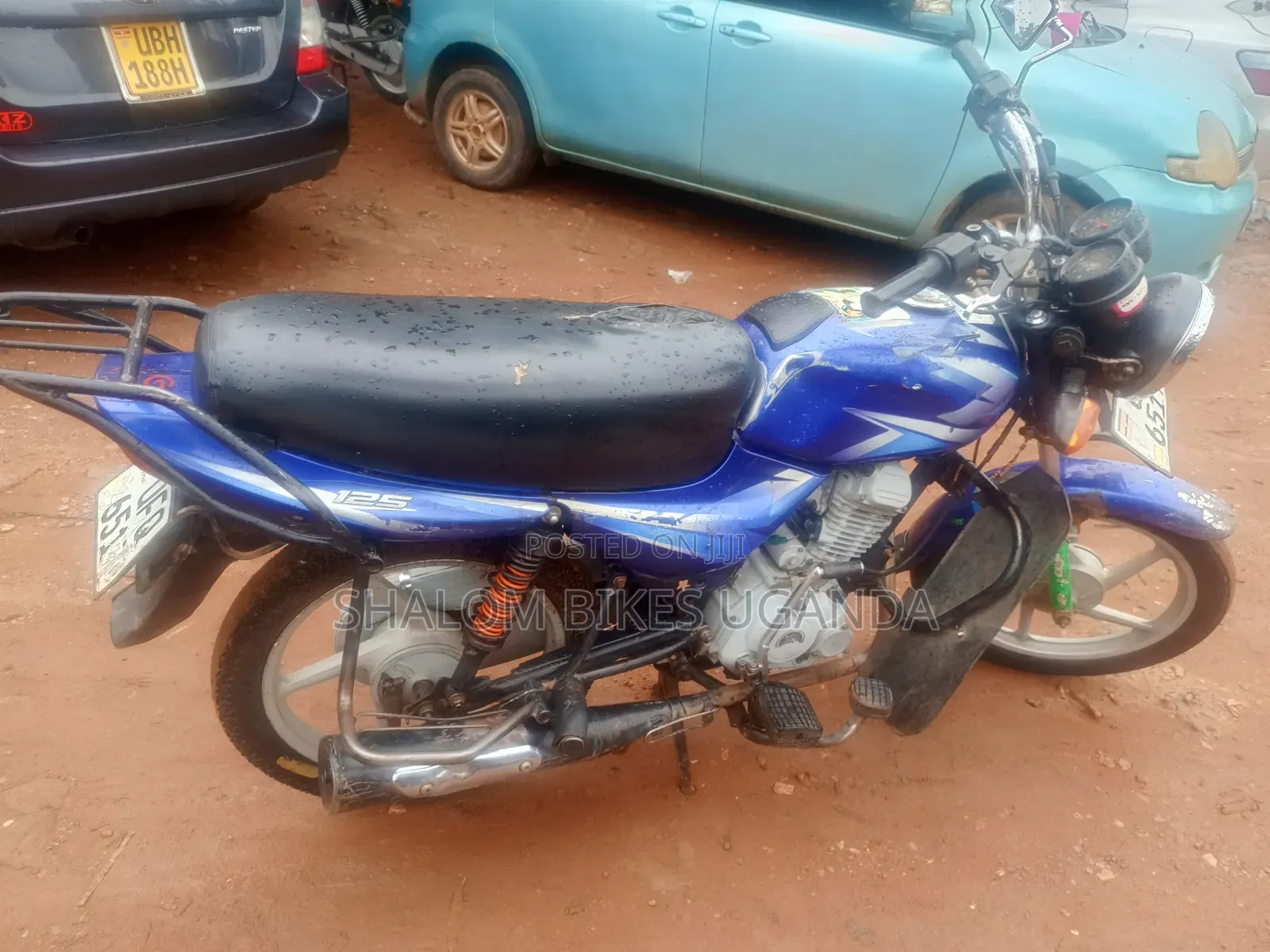 Bajaj CT 125X 2023 Blue