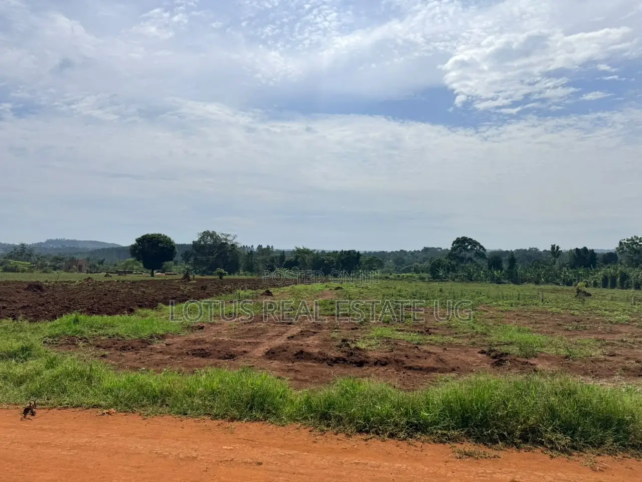 Plots for Sale in Vumba Busiika Gayaza Road
