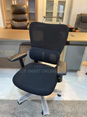 Back Support Office Chair