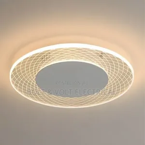 LED Ceiling Light