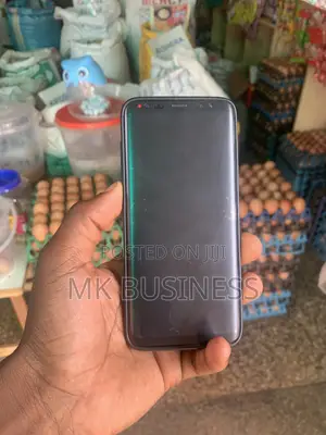 Samsung Galaxy S8 64 GB Gray