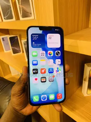 Apple iPhone 13 Pro Max 256 GB Gray