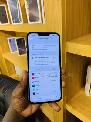 Apple iPhone 13 Pro Max 256 GB Gray