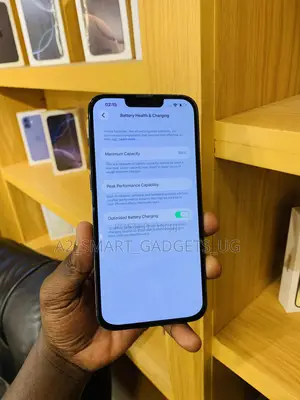 Apple iPhone 13 Pro Max 256 GB Gray