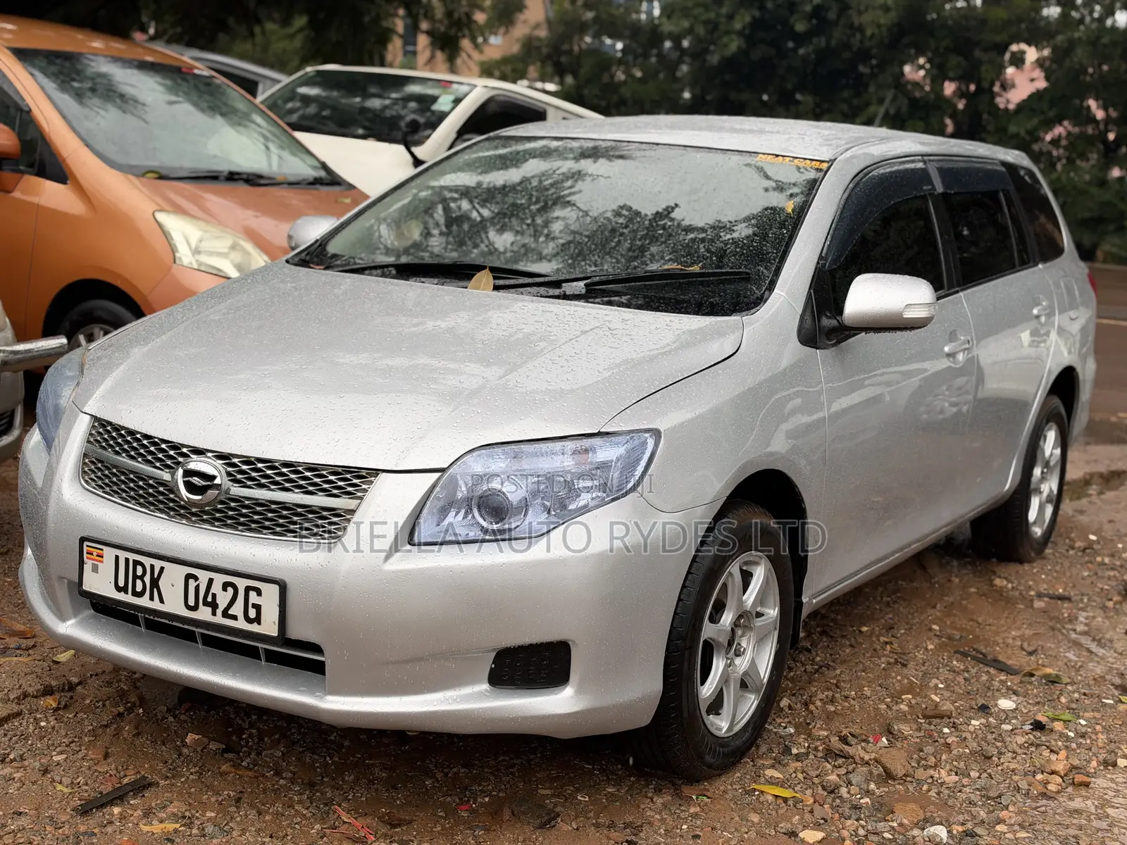 Toyota Corolla Fielder 2009 Silver