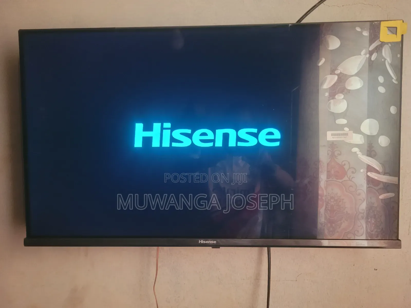 Television