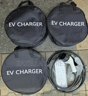 EV Charger for Toyota RAV4/Lexus NX/RX and More- White
