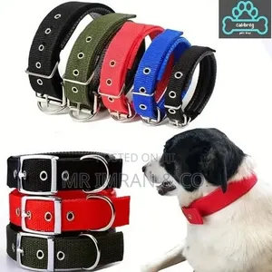 Heavy-Duty Adjustable Dog Collar