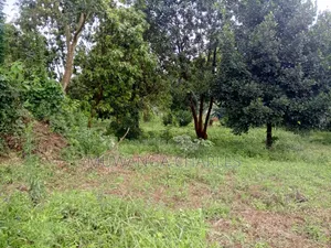 Land on Sale at Gayaza Nakasajja Near Main