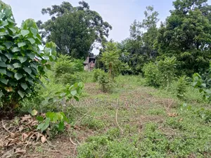 Land on Sale at Gayaza Nakasajja Near Main