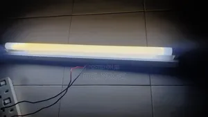 Florescent Light