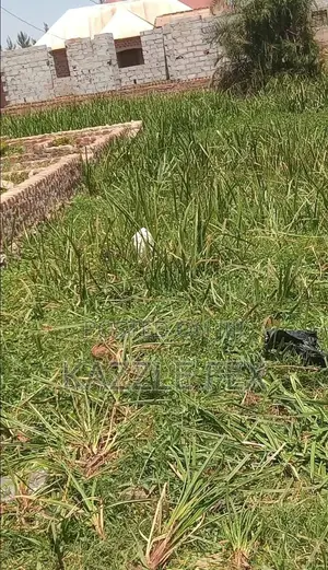 Plot for Sale