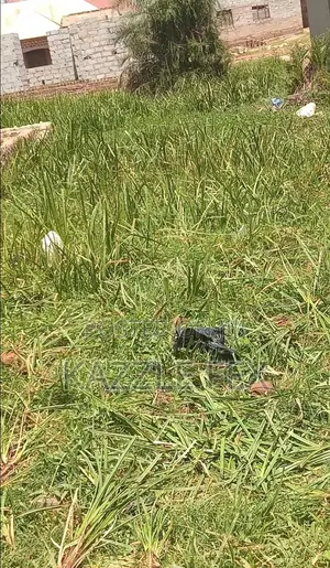 Plot for Sale